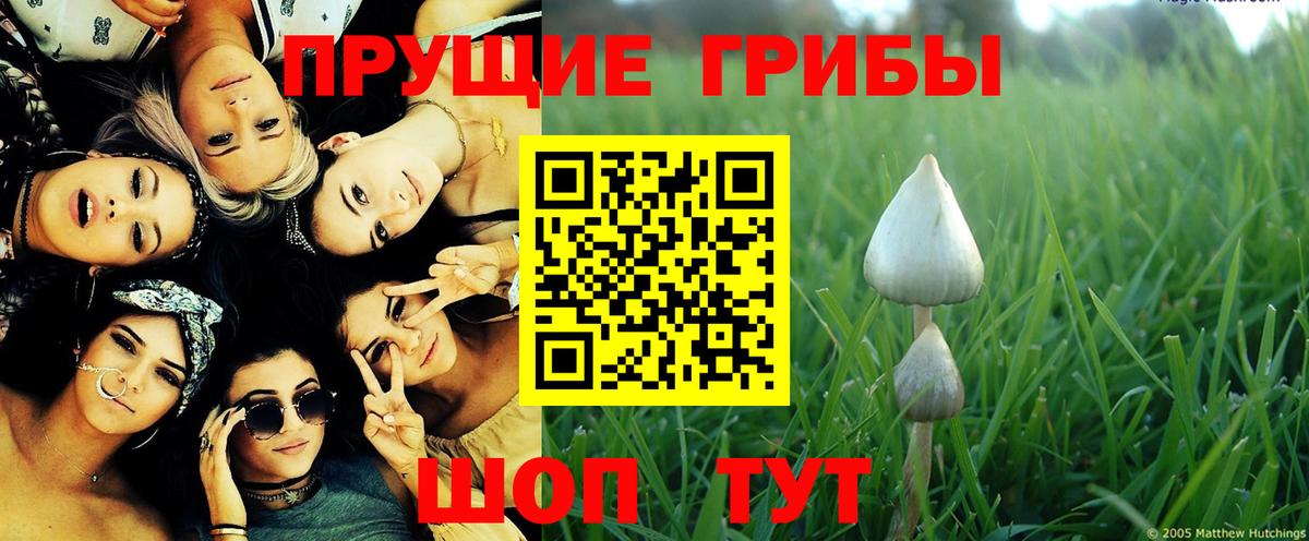 Казань  Галлюциногенные грибы ЛСД  Вход с VPN  Псилоцибиновые грибы GOLDEN TEACHER 
