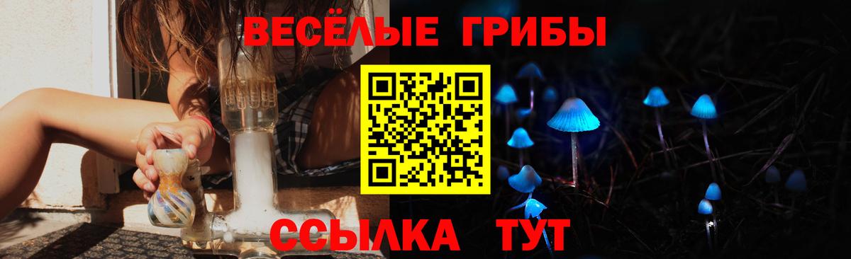 Псилоцибиновые грибы мухоморы Казань